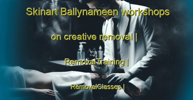 Skinart Ballynameen workshops on creative removal | RemovalTraining | RemovalClasses | SkinartTraining-United Kingdom